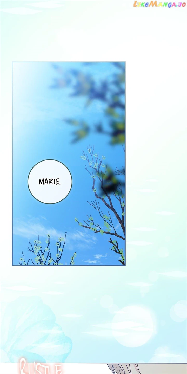 Read A Capable Maid Manga Online