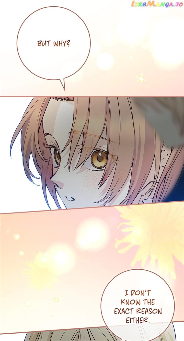 Read A Capable Maid Manga Online