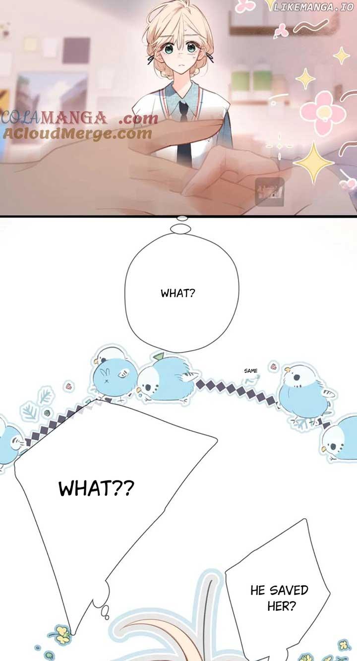 Read Back to Spring Manga Online