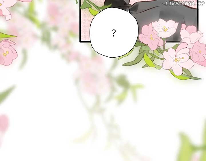 Read Back to Spring Manga Online