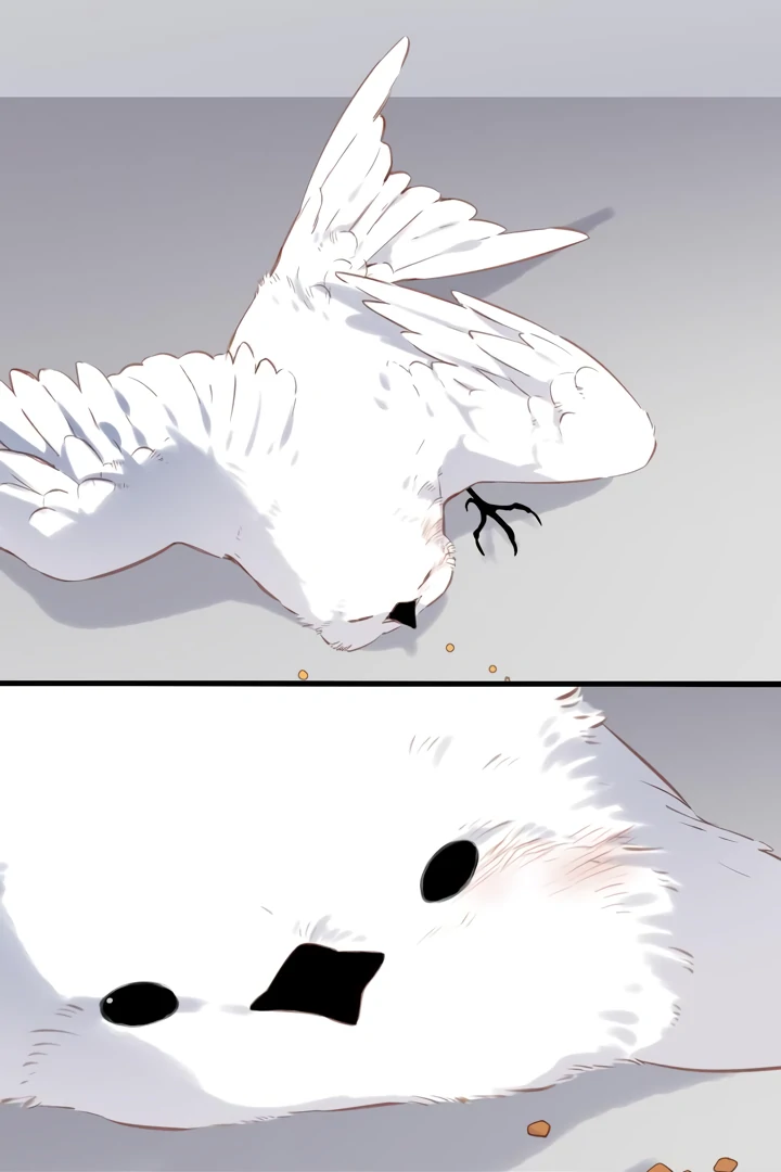 Read Back to Spring Manga Online