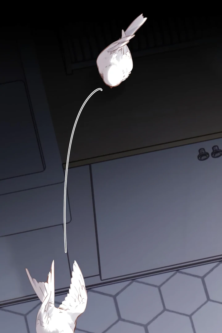 Read Back to Spring Manga Online