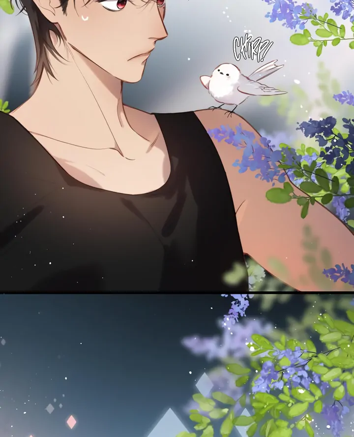 Read Back to Spring Manga Online