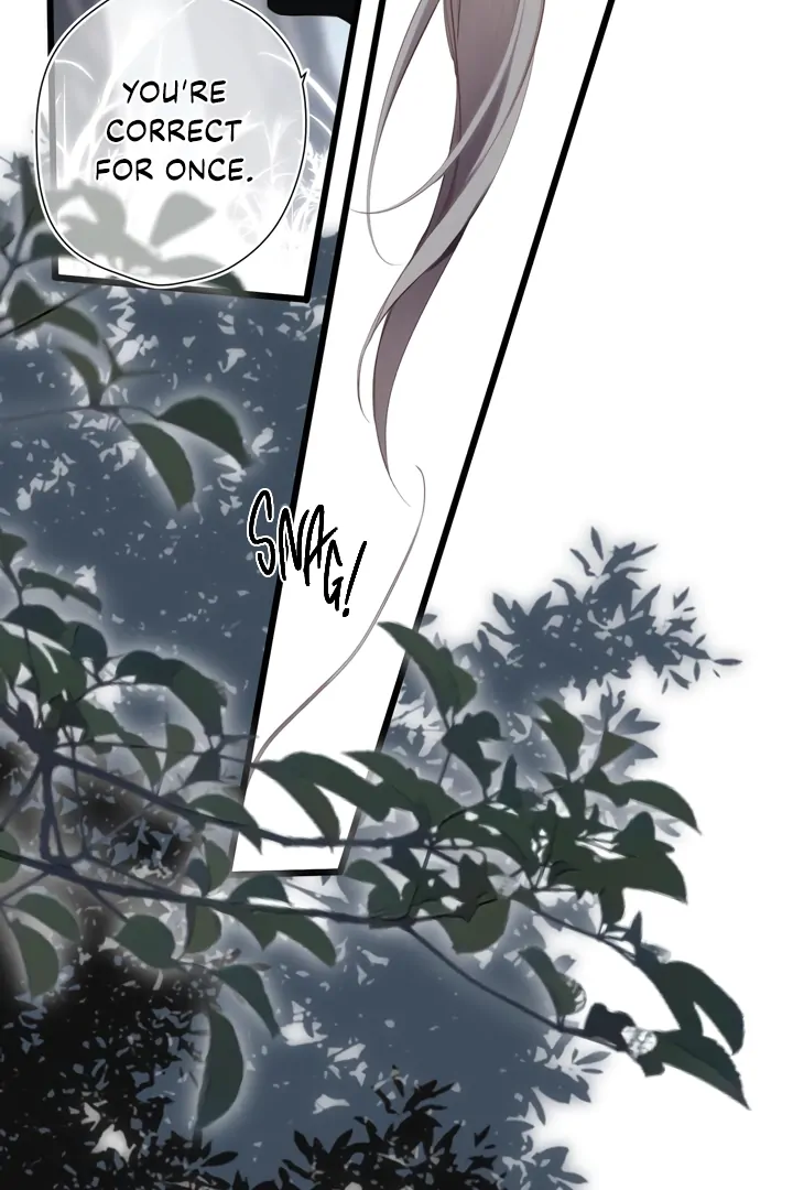 Read Back to Spring Manga Online