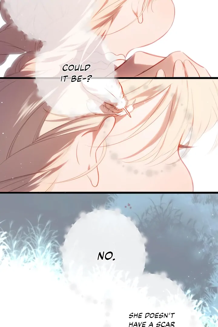 Read Back to Spring Manga Online