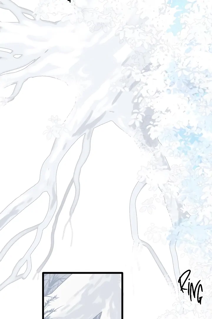 Read Back to Spring Manga Online