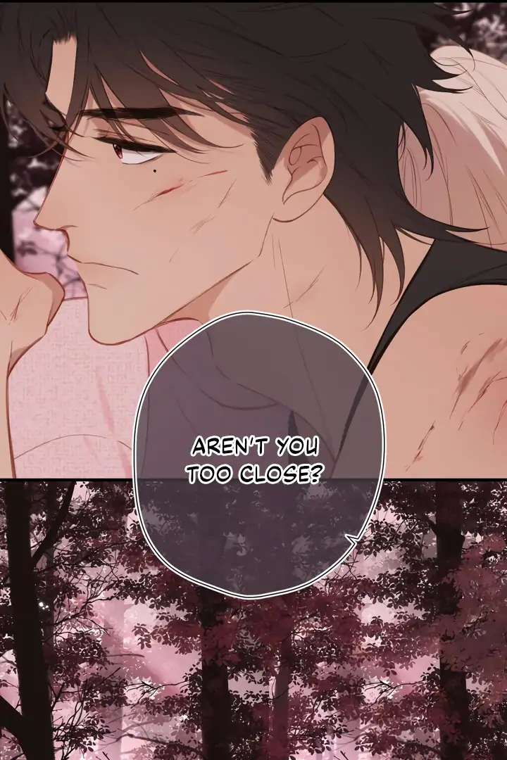 Read Back to Spring Manga Online