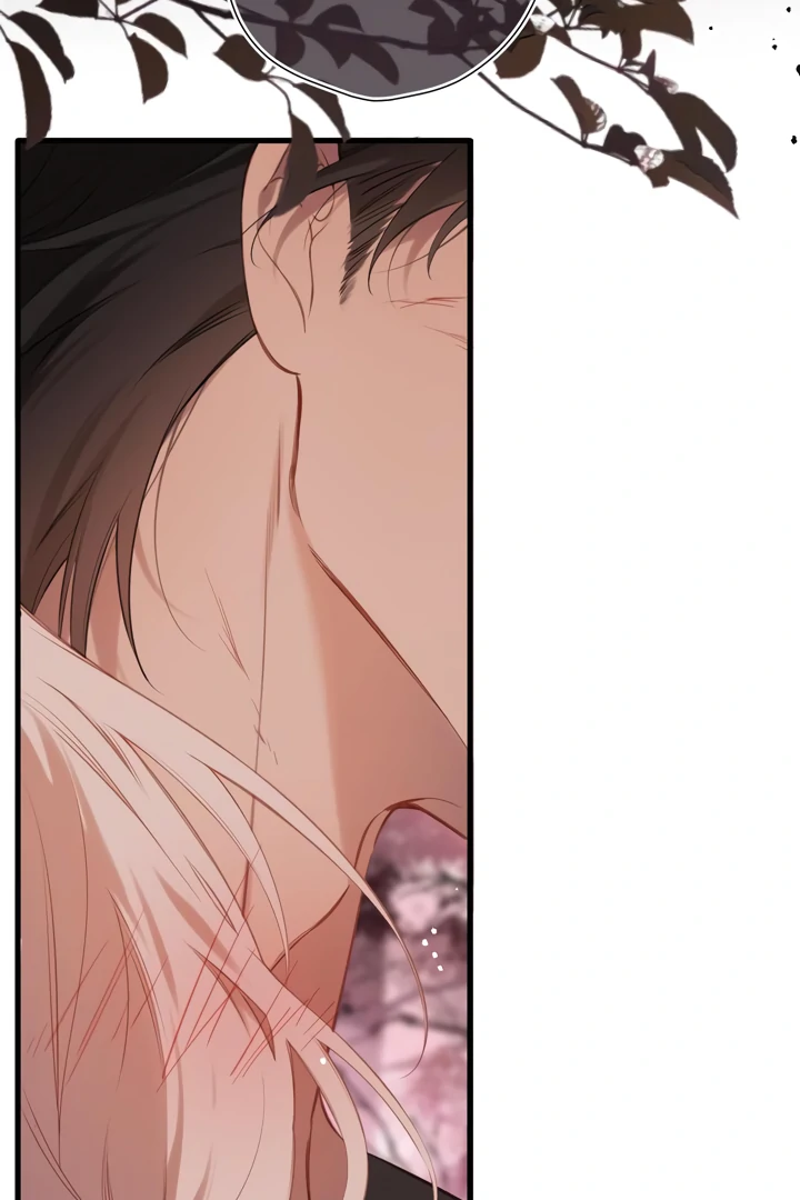 Read Back to Spring Manga Online