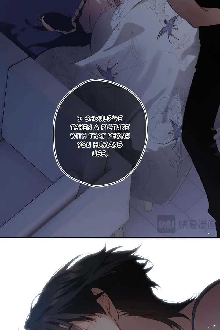 Read Back to Spring Manga Online