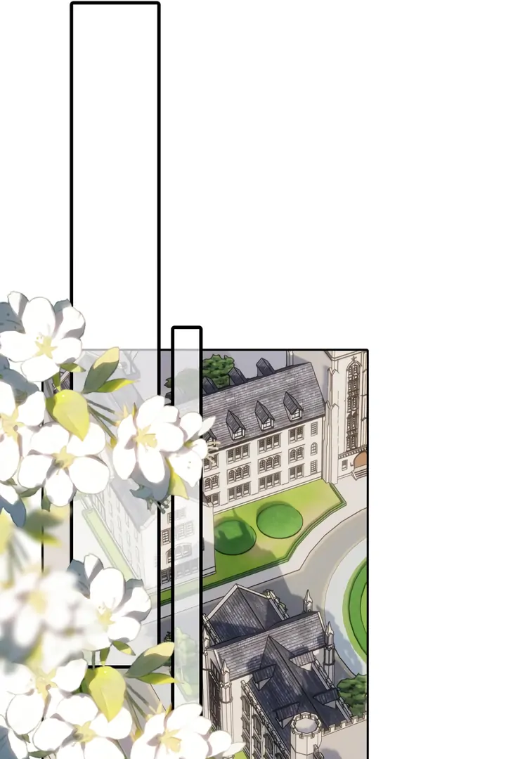 Read Back to Spring Manga Online