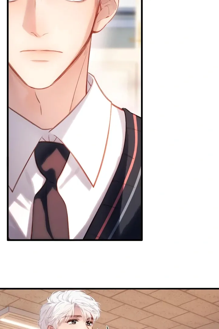 Read Back to Spring Manga Online