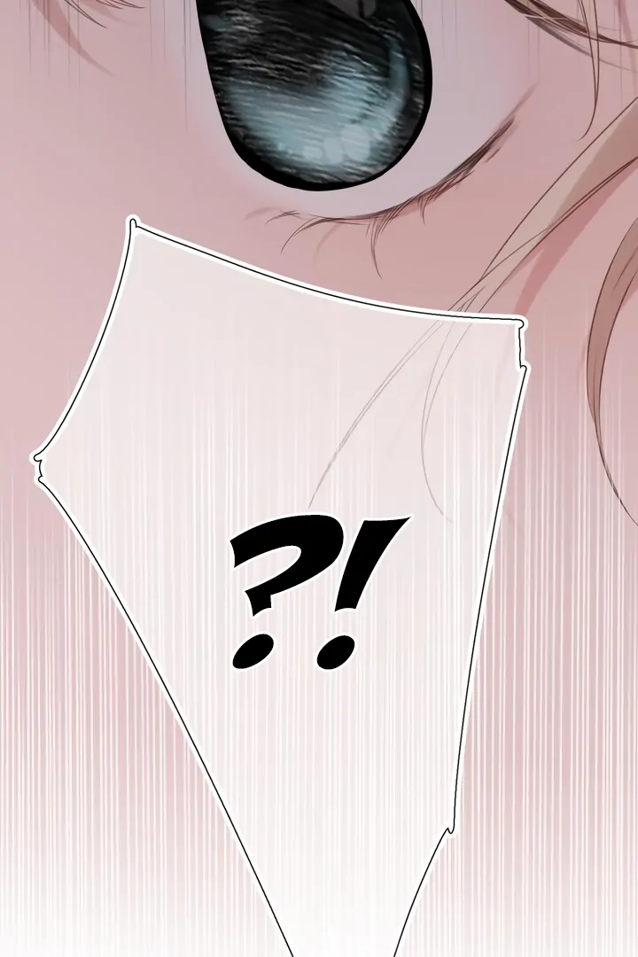 Read Back to Spring Manga Online