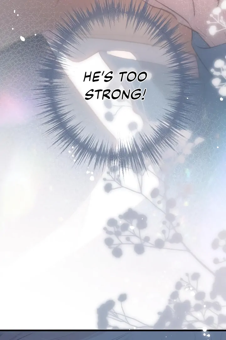 Read Back to Spring Manga Online