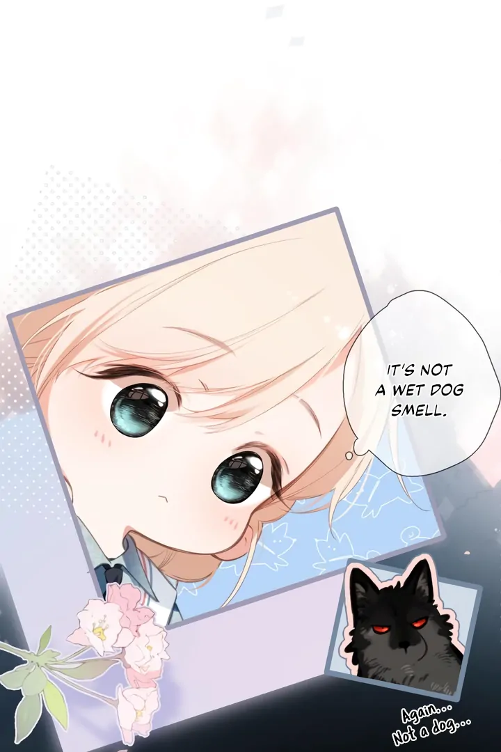 Read Back to Spring Manga Online