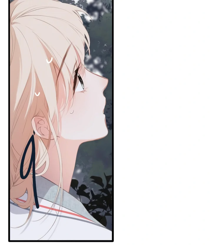 Read Back to Spring Manga Online