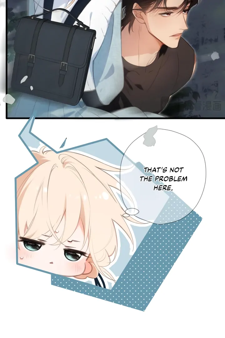 Read Back to Spring Manga Online