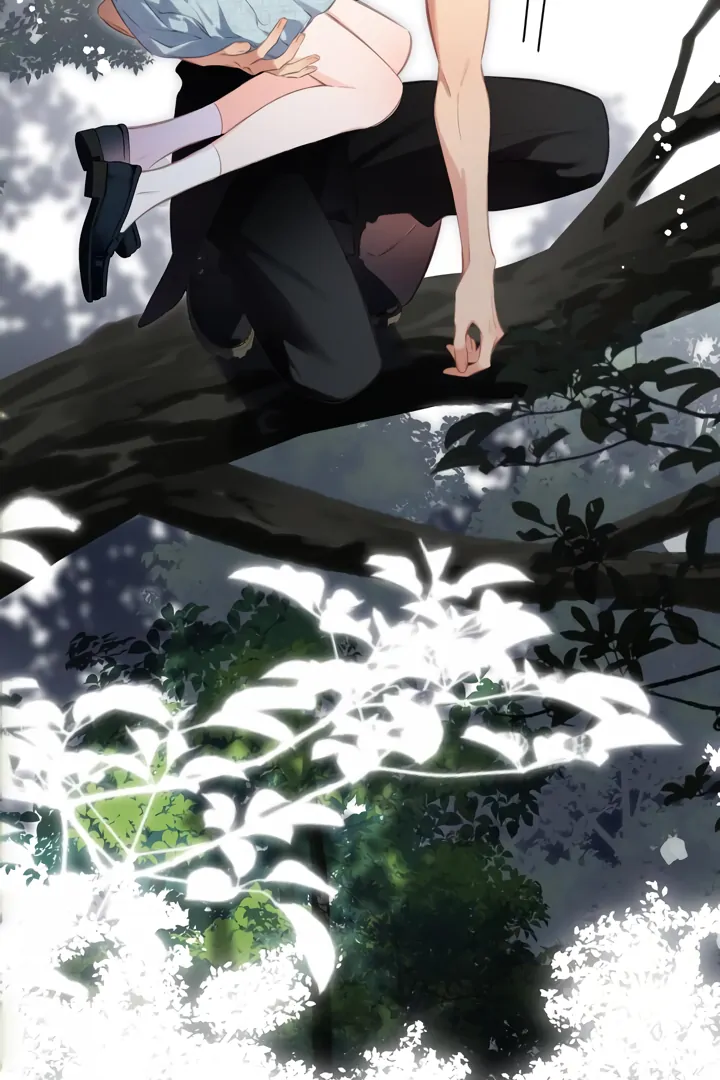 Read Back to Spring Manga Online