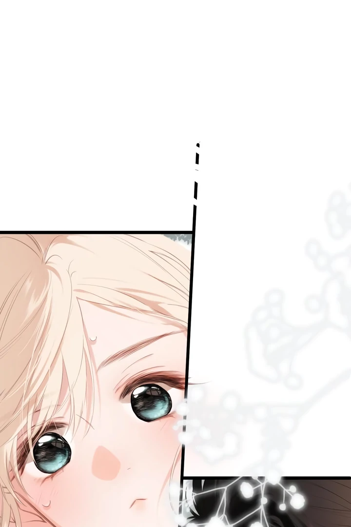 Read Back to Spring Manga Online