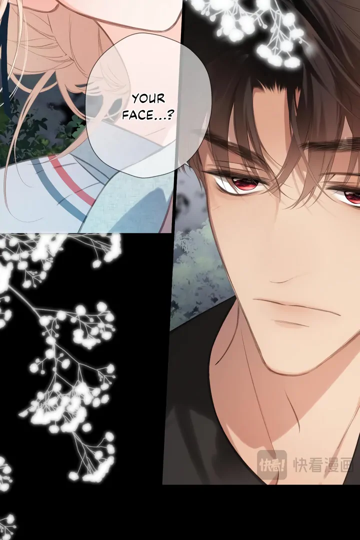 Read Back to Spring Manga Online