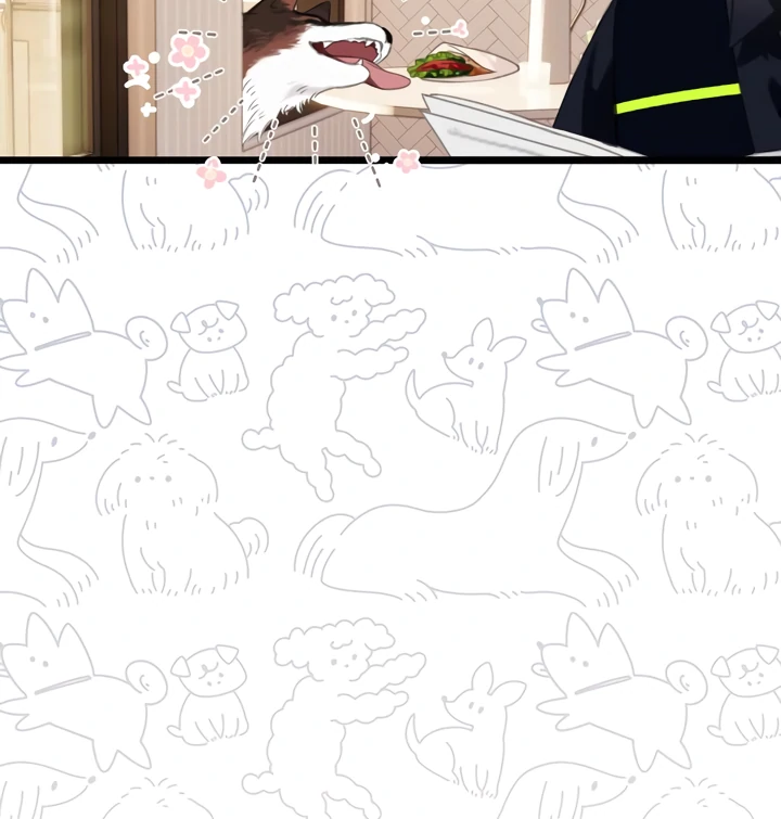 Read Back to Spring Manga Online