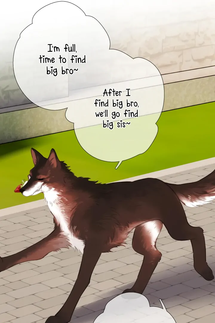 Read Back to Spring Manga Online