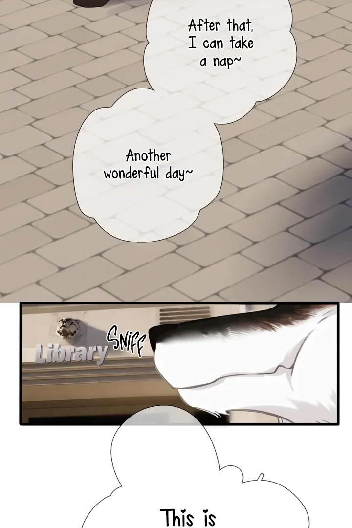 Read Back to Spring Manga Online