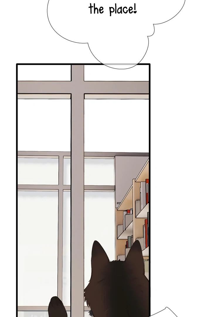 Read Back to Spring Manga Online