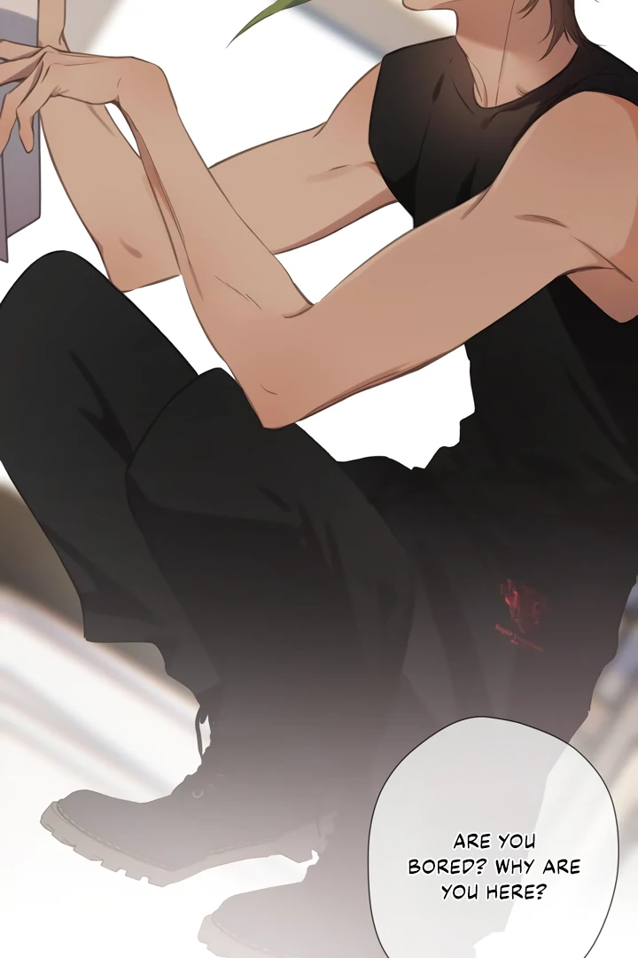 Read Back to Spring Manga Online