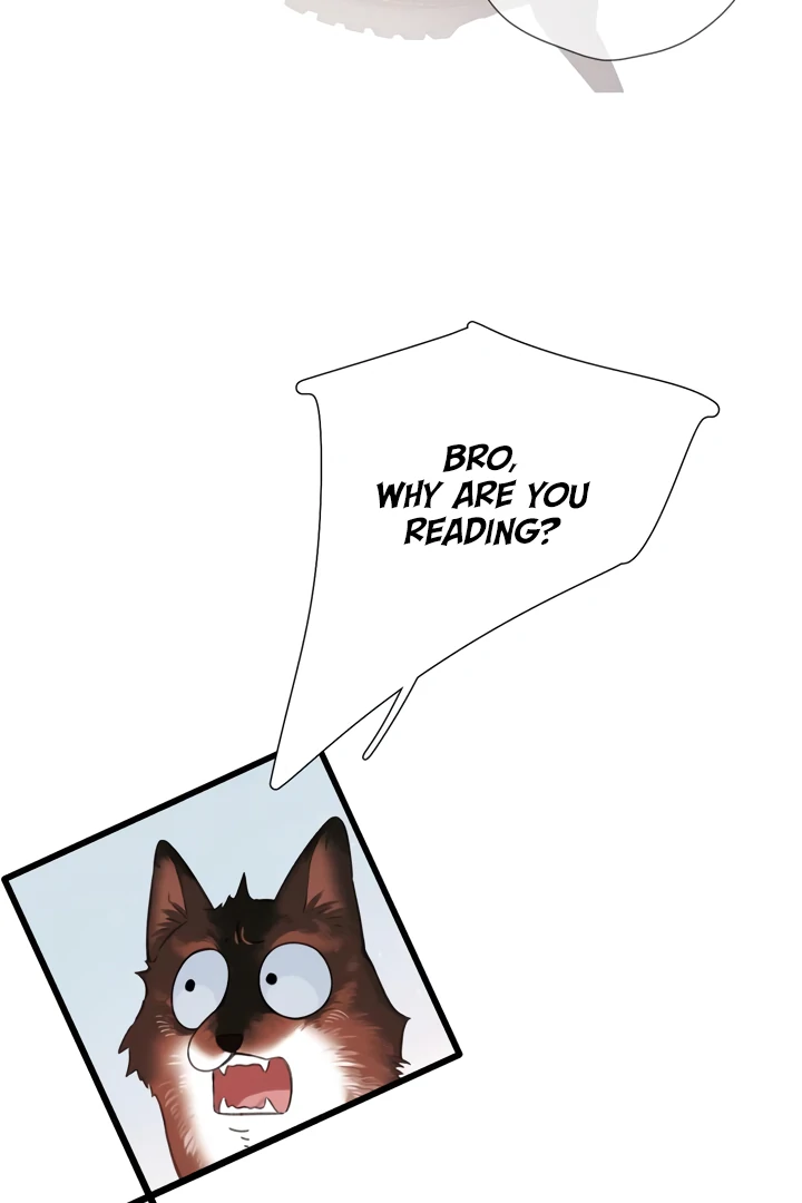 Read Back to Spring Manga Online