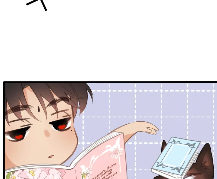 Read Back to Spring Manga Online