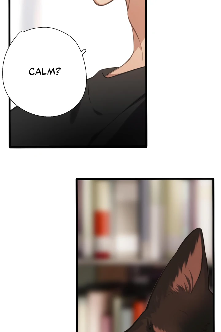 Read Back to Spring Manga Online