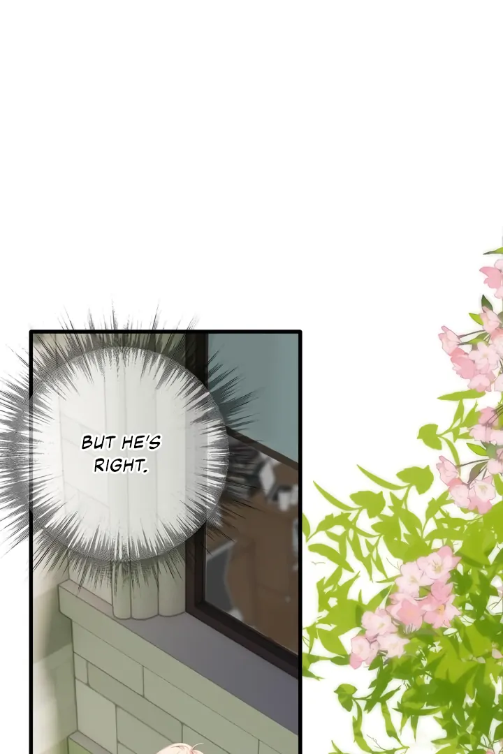 Read Back to Spring Manga Online