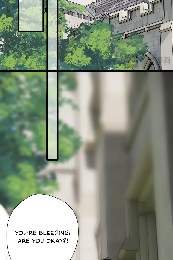 Read Back to Spring Manga Online