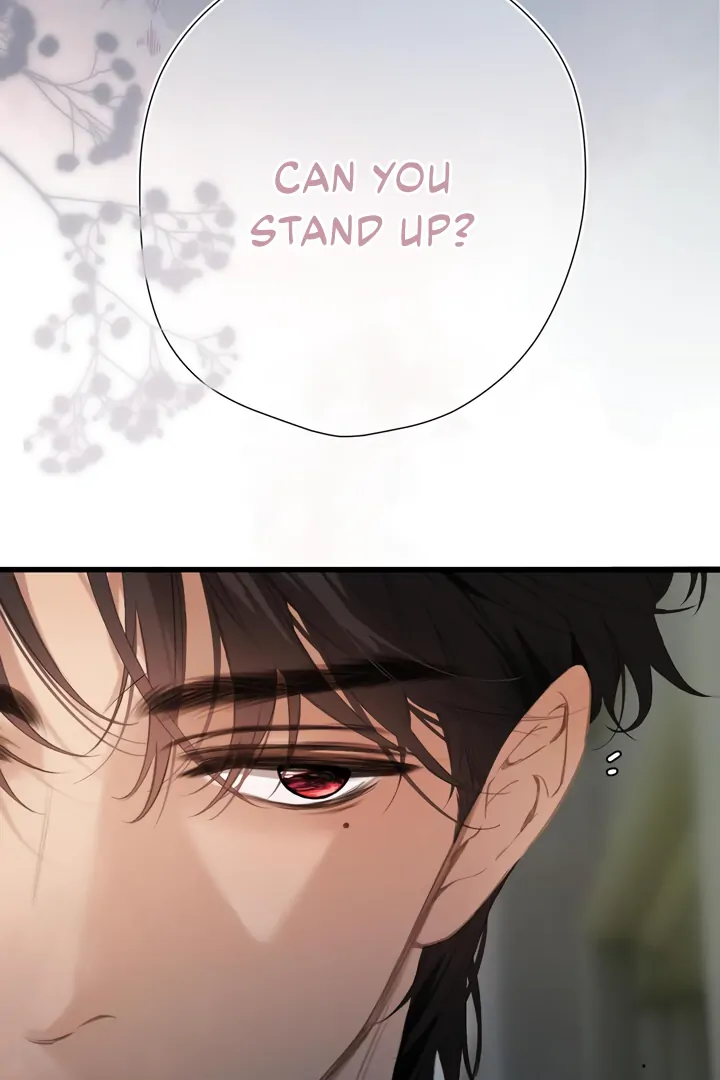 Read Back to Spring Manga Online