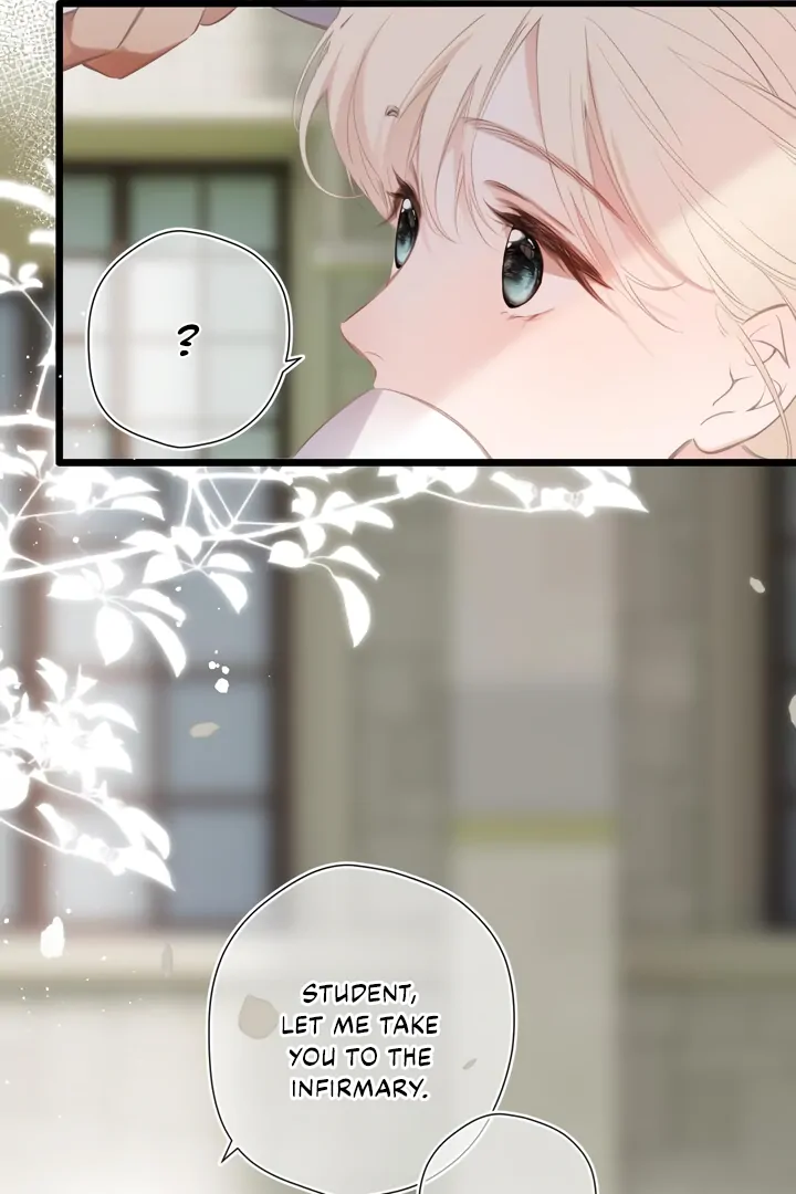 Read Back to Spring Manga Online