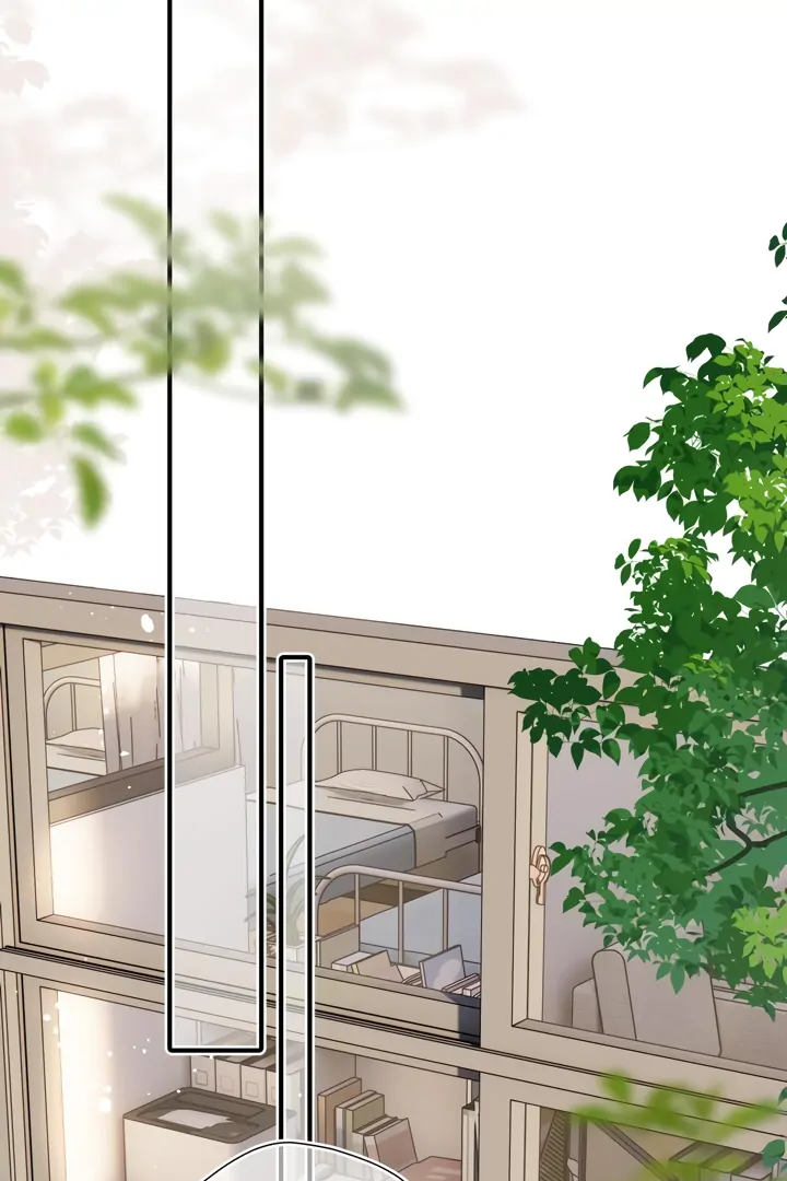 Read Back to Spring Manga Online