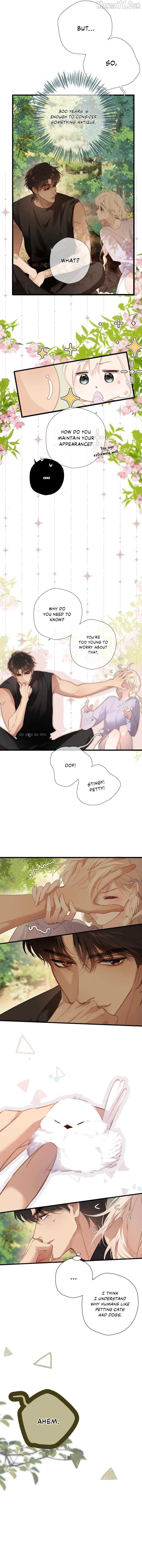 Read Back to Spring Manga Online