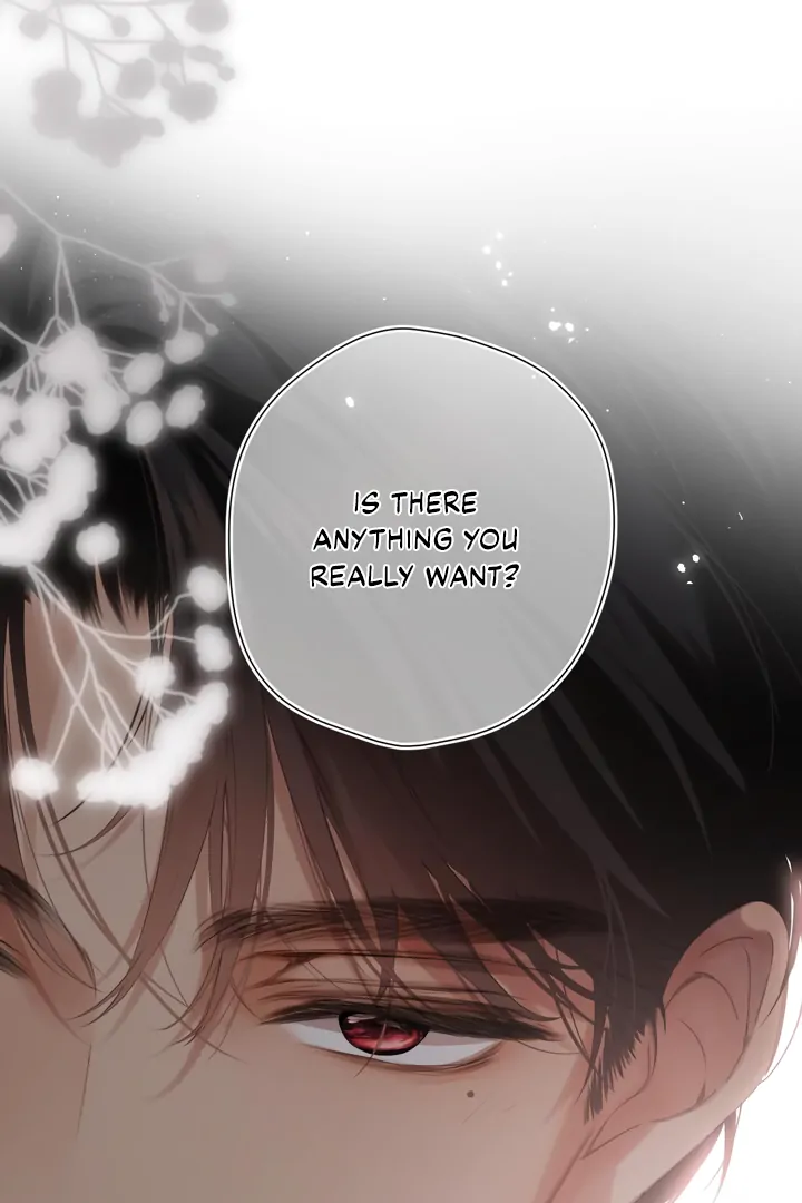 Read Back to Spring Manga Online