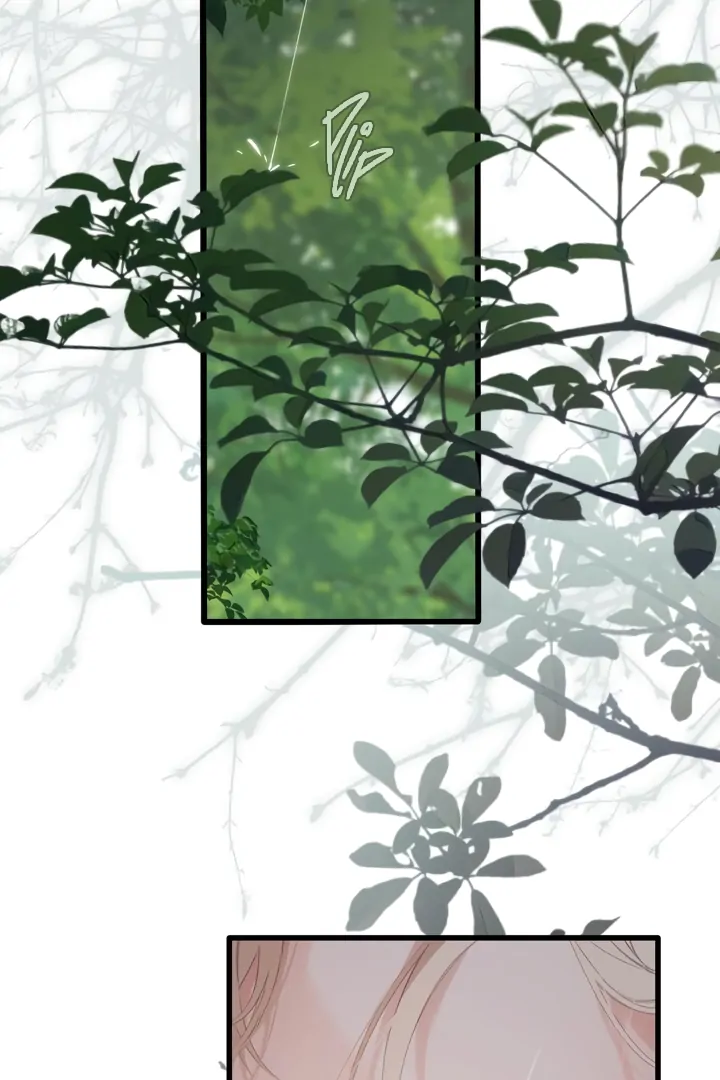 Read Back to Spring Manga Online