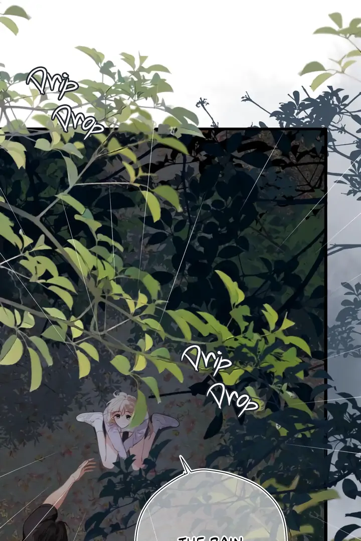 Read Back to Spring Manga Online