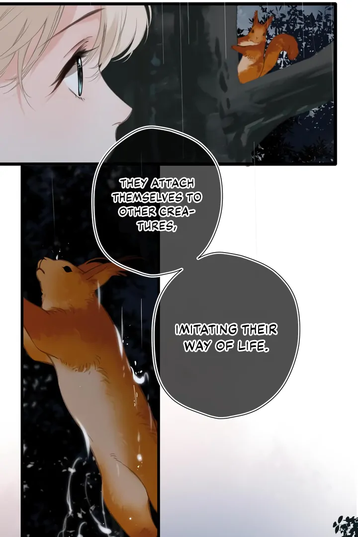 Read Back to Spring Manga Online