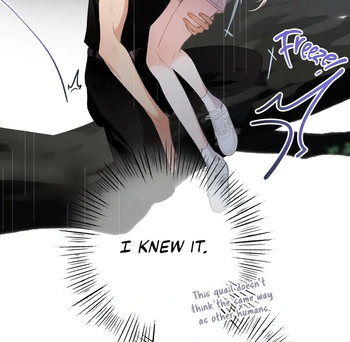 Read Back to Spring Manga Online