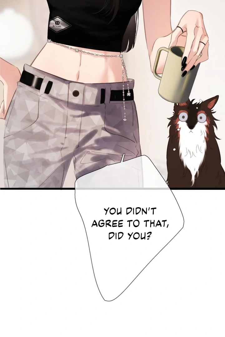 Read Back to Spring Manga Online