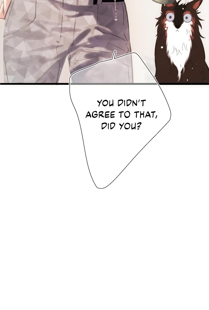 Read Back to Spring Manga Online