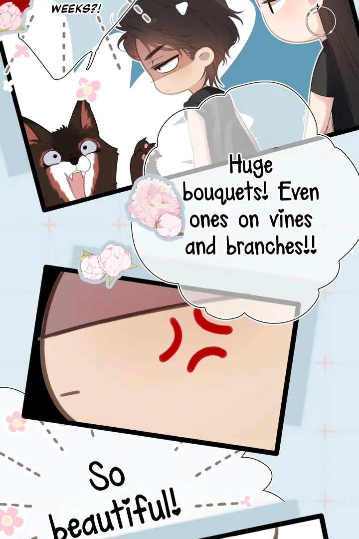 Read Back to Spring Manga Online