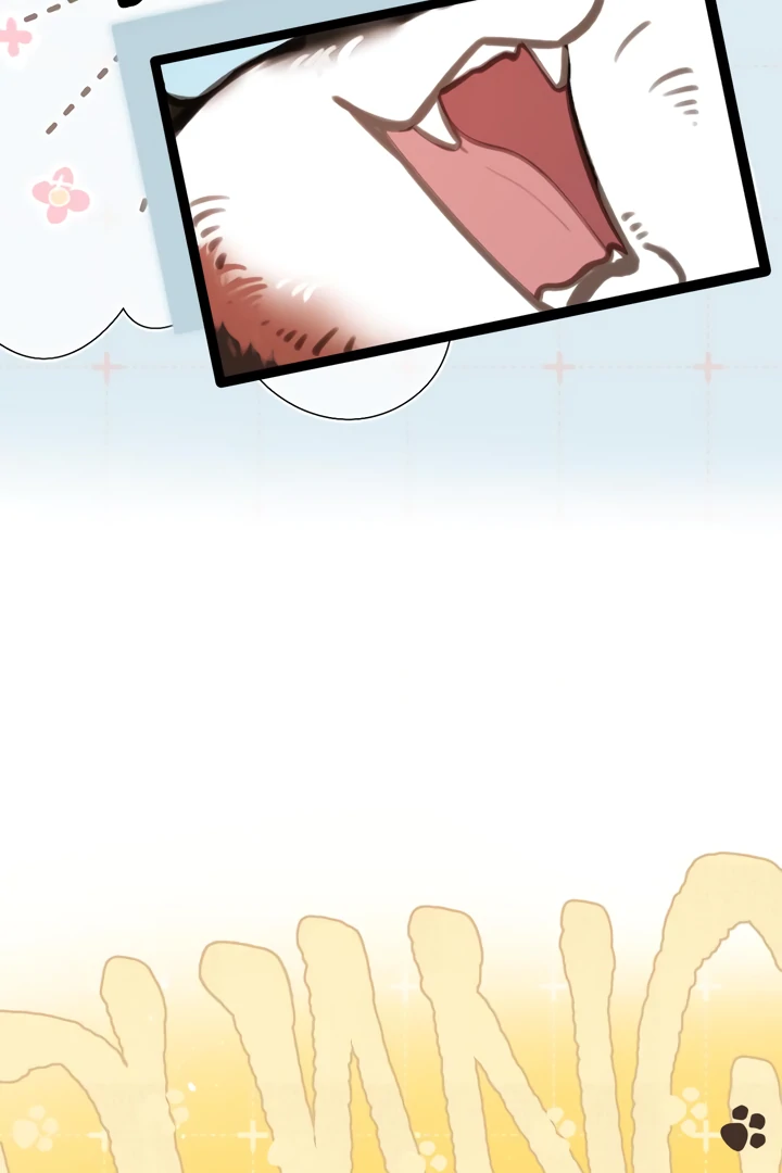 Read Back to Spring Manga Online