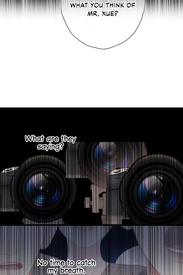 Read Back to Spring Manga Online