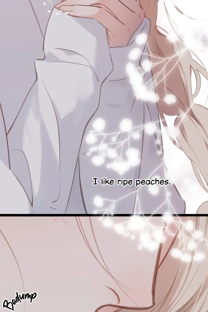 Read Back to Spring Manga Online