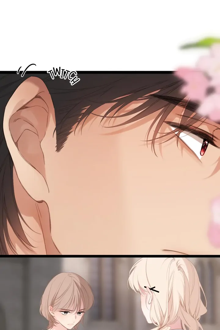 Read Back to Spring Manga Online