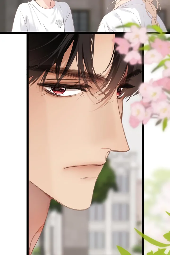 Read Back to Spring Manga Online